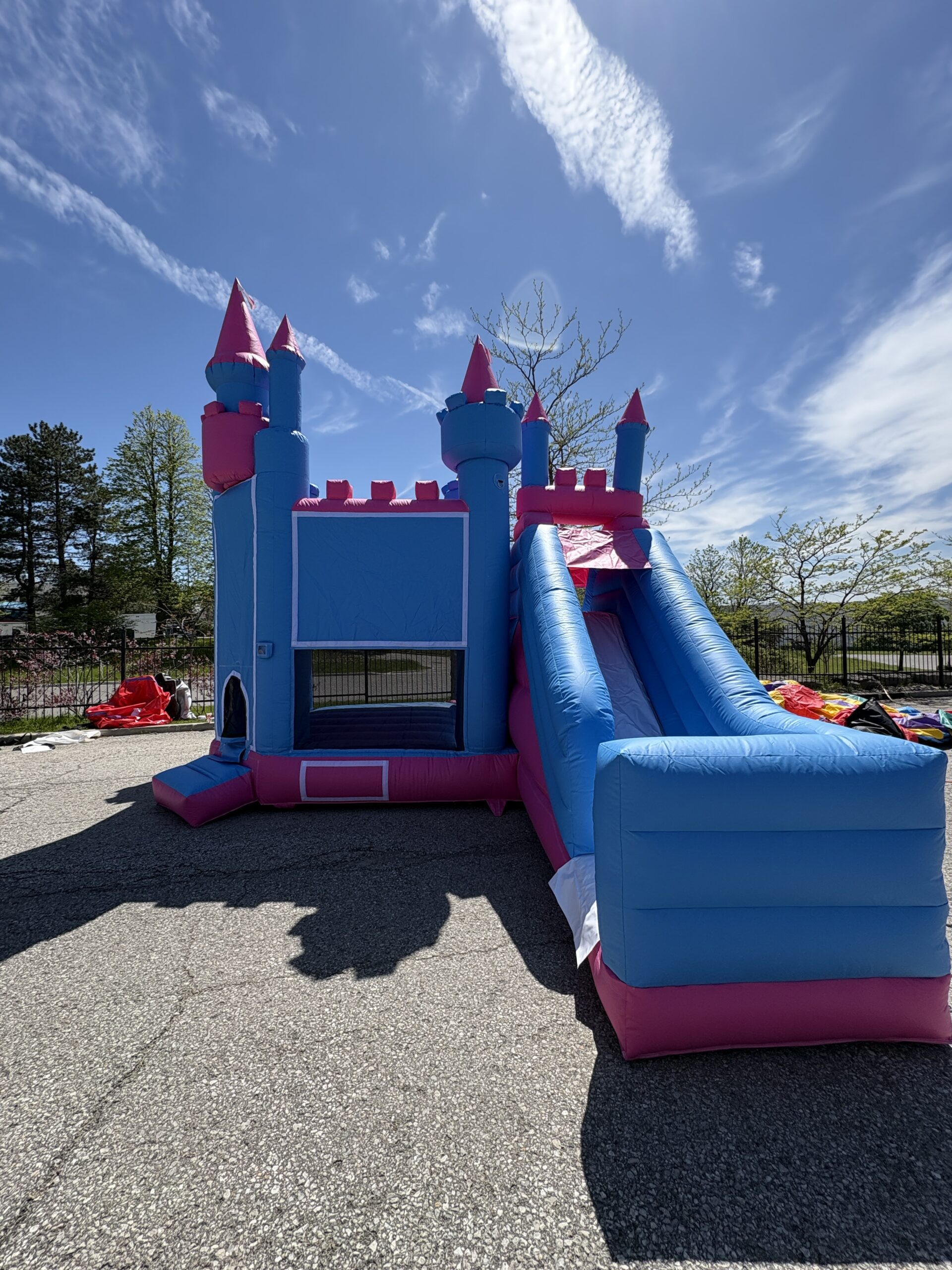 Princess Bouncy Castle photo 3